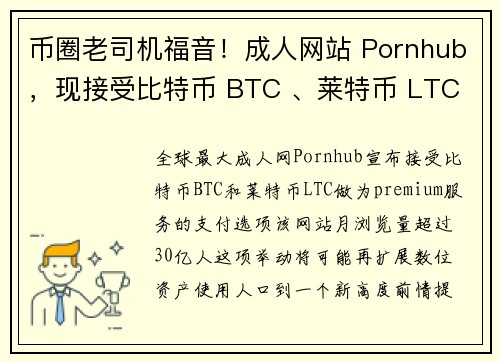 币圈老司机福音！成人网站 Pornhub，现接受比特币 BTC 、莱特币 LTC 支付